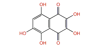2,3,5,6,8-Pentahydroxy-1,4-naphthoquinone